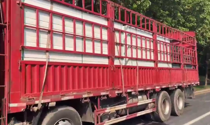 旭東PVC圍擋批發(fā)直供龍崗工地，2500米圍擋當(dāng)天閃電送達(dá)